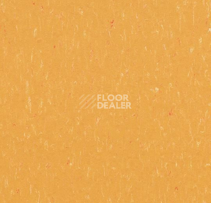 Линолеум Forbo Marmoleum Solid Piano 3622-362235 mellow yellow фото 1 | FLOORDEALER